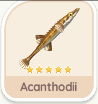 Acanthodii