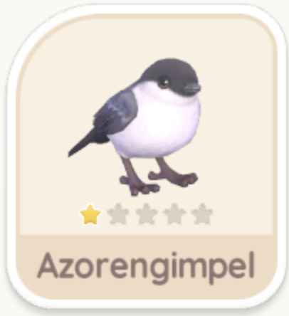 Azorengimpel
