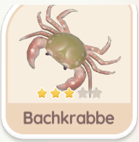 Bachkrabbe