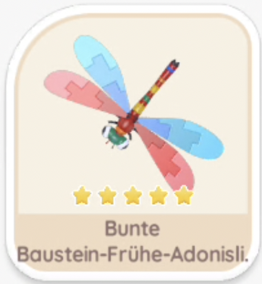 Bunte Baustein-Frühe-Adonislibelle