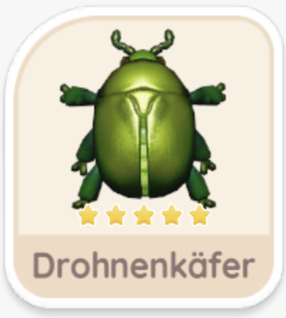 Drohnenkäfer