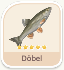 Döbel