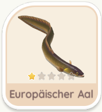 Europäischer Aal