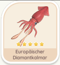 Europäischer Diamantkalmar