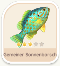 Gemeiner Sonnenbarsch