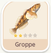 Groppe