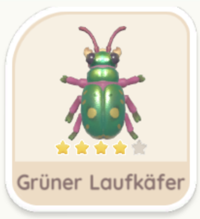 Grüner Laufkäfer