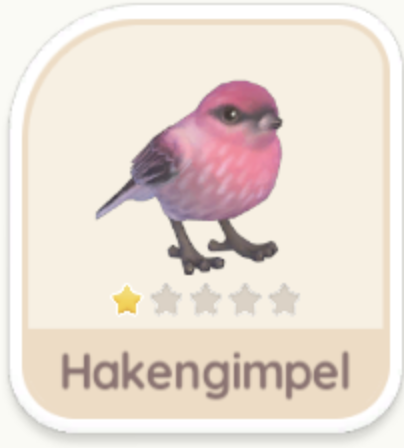Hakengimpel