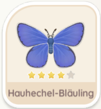 Hauhechel-Bläuling