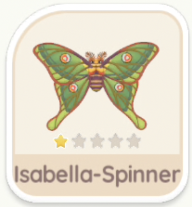 Isabella-Spinner