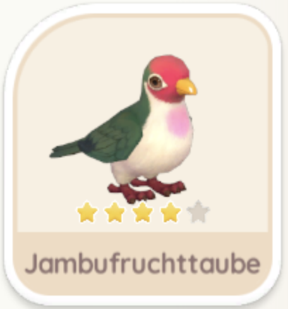 Jambufruchttaube