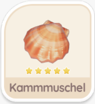 Kammmuschel