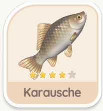 Karausche