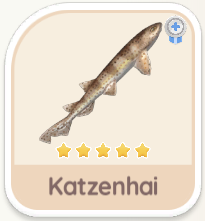Katzenhai