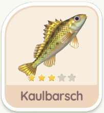 Kaulbarsch