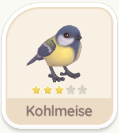 Kohlmeise