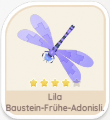 Lila Baustein-Frühe-Adonislibelle