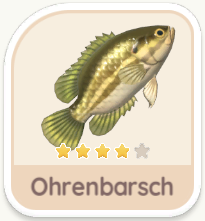 Ohrenbarsch
