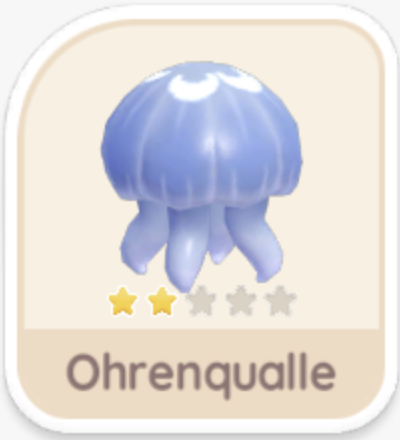 Ohrenqualle