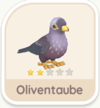Oliventaube