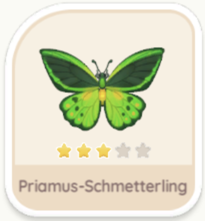 Priamus-Schmetterling