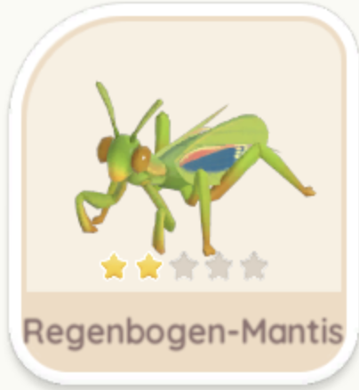 Regenbogen-Mantis