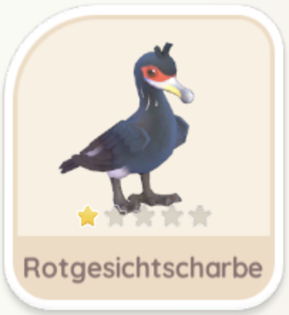 Rotgesichtscharbe