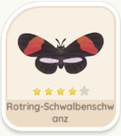Rotring-Schwalbenschwanz