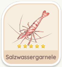 Salzwassergarnele