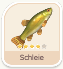 Schleie