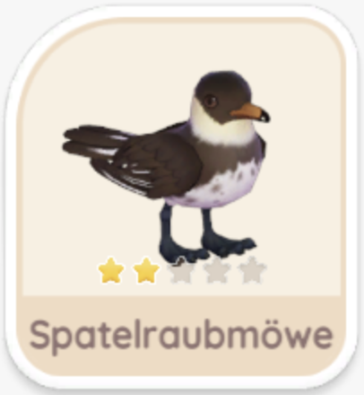 Spatelraubmöwe