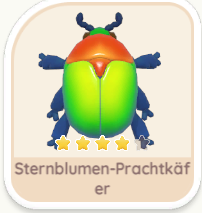 Sternblumen-Prachtkäfer