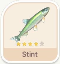 Stint