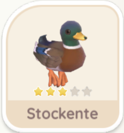 Stockente