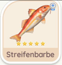 Streifenbarbe