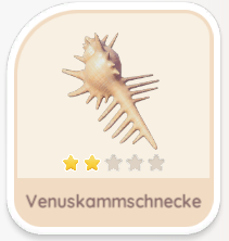 Venuskammschnecke