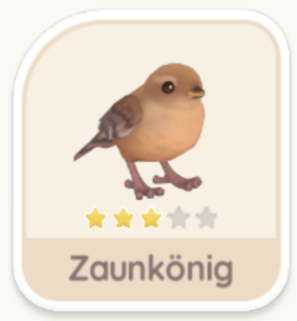 Zaunkönig